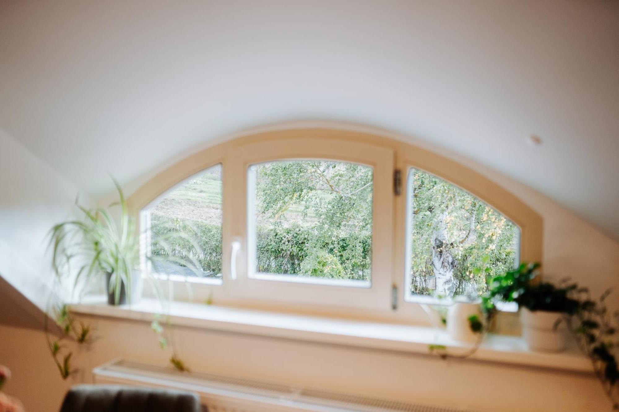 Villa Levin 65Qm 4 Personen Mit Pool Wlan Und Parken Dornburg  Bagian luar foto